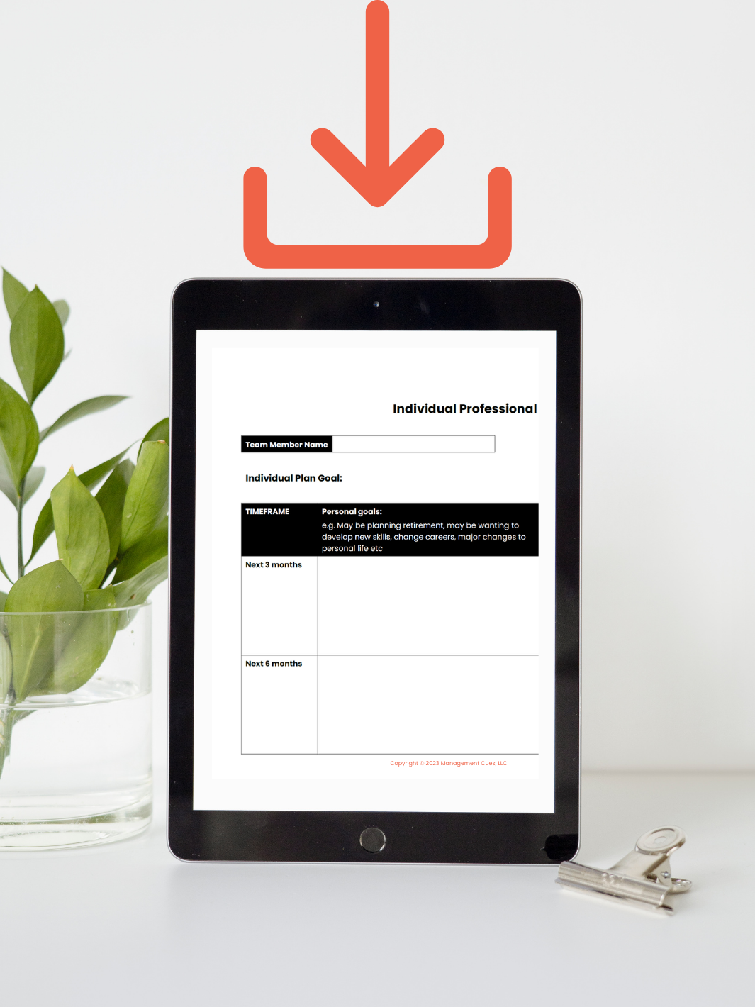 Individual Development Plan