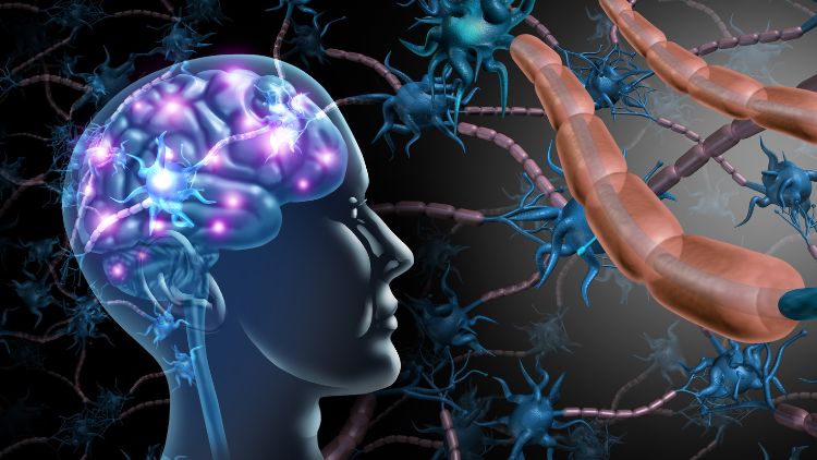 Why Analog Training Tools Are a Neuroscience Advantage in a Digital-Heavy World