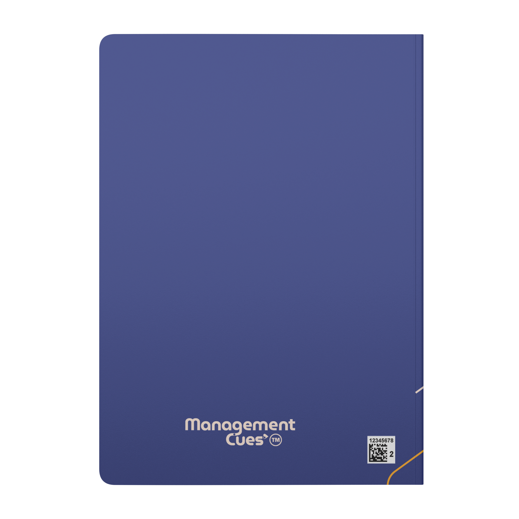 Management Reflection Journal