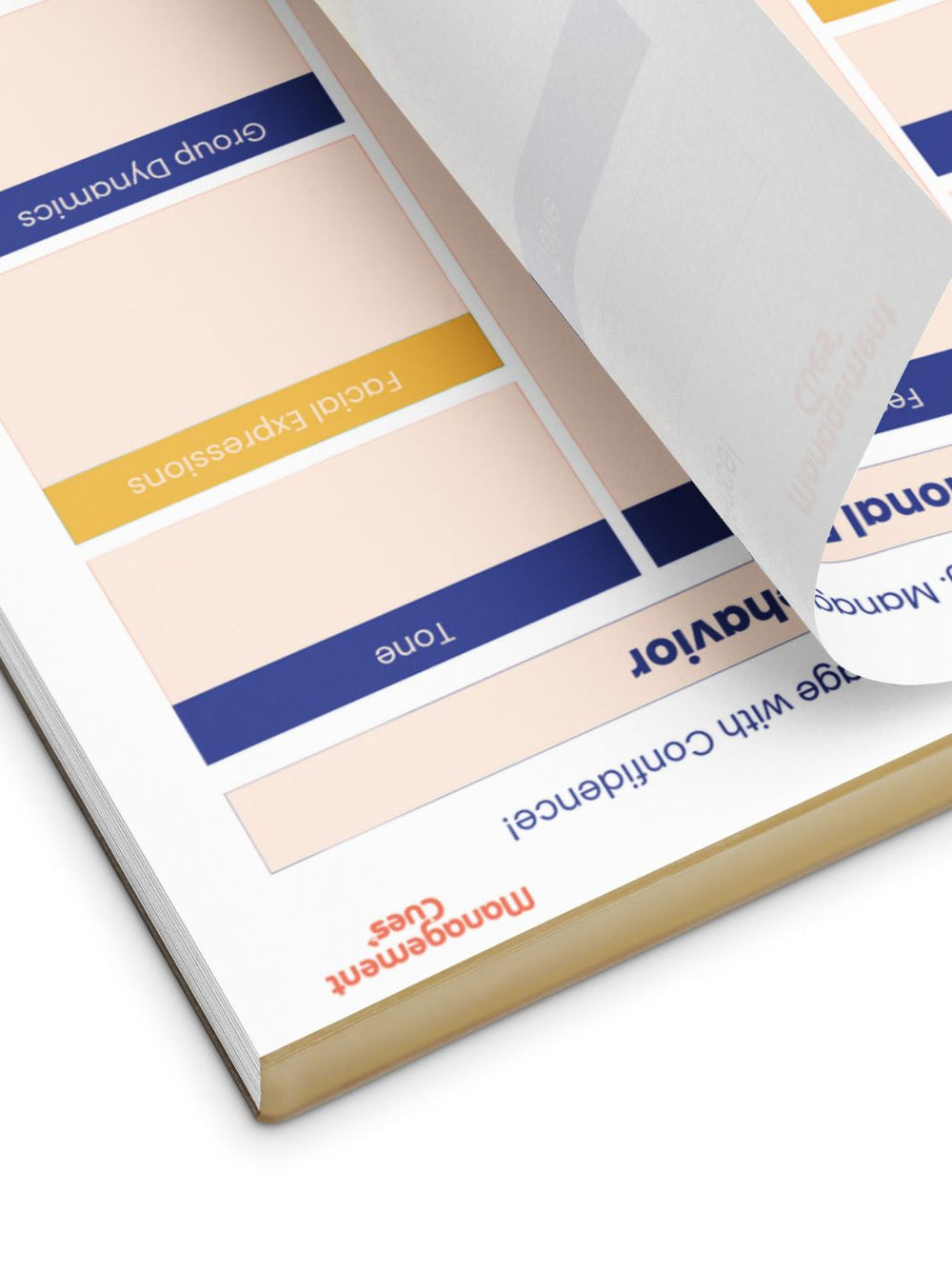Behavioral Insights Pad